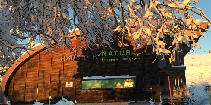 Das Haus der Natur im Winter