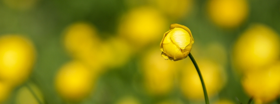 Sonderausstellungen Naturschutzzentrum Südschwarzwald